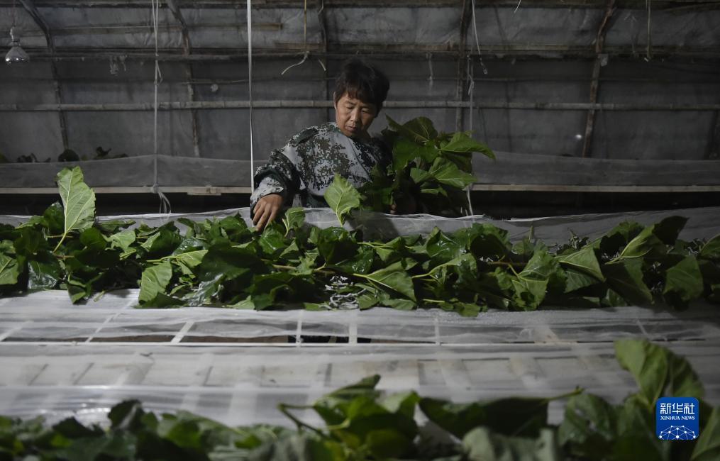 老虎机娱乐送彩金